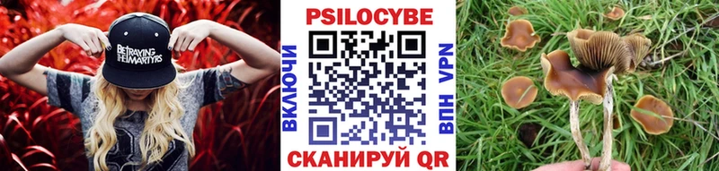 Купить закладки  Жигулёвск  Галлюциногенные грибы мицелий 